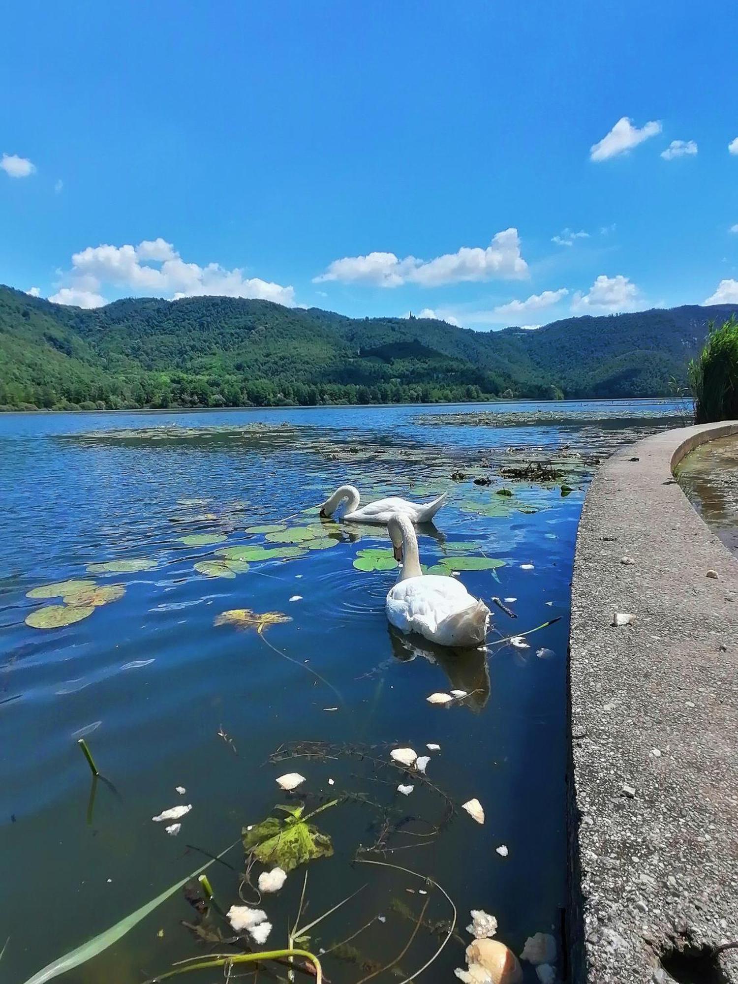Ca' Dei Berici - Residence Ad Arcugnano Grancare Quarto foto